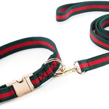 Premium Dog Collar, Cute Dog Collars Luxury Style, Durable Pet Collars and Dog Leash with Metal Buckle Safety for Puppy Small Dogs
