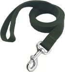 Strong Nylon Dog Leash,  Dog Leashes for Medium Large Dogs (6FT, Green)