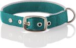 Adjustable Silver Trimmed Dog Collar for Pets Small, Medium and Large Dogs, Silver/Turquoise, X-Large