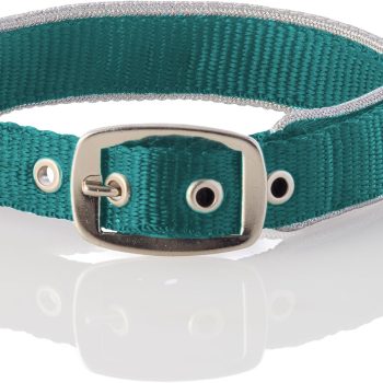 Adjustable Silver Trimmed Dog Collar for Pets Small, Medium and Large Dogs, Silver/Turquoise, X-Large