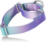 Dog Collar Colorful Gradient Fashionable - Anti-Escape Soft Durable Pets Collar for Walking Training Outdoor Daily Use -Large, Purple Green