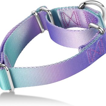 Dog Collar Colorful Gradient Fashionable - Anti-Escape Soft Durable Pets Collar for Walking Training Outdoor Daily Use -Large, Purple Green