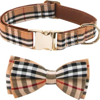 Dog Collar with Bow Tie- Adjustable pet Collar for Dogs with Metal snap Fastener Collar, Stylish Pattern for Small Medium or Large Boy and Girl Dog and Cat