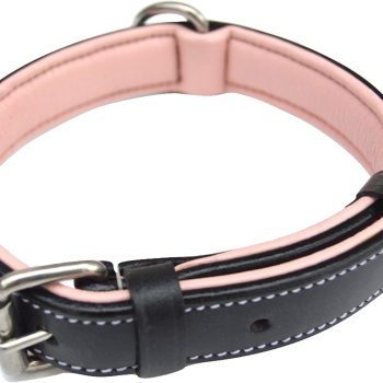 Small Leather Dog Collar, Padded for Comfort, Black and Light Pink - Great for Female Dogs
