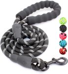 Dog Leash with Comfortable Padded Handle and Highly Reflective Threads for Small Medium and Large Dogs (5FT-1/2'', Black)