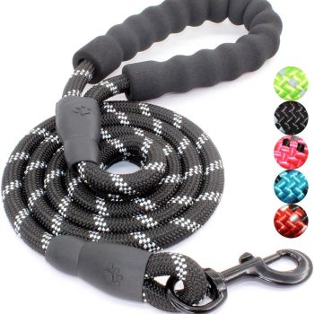 Dog Leash with Comfortable Padded Handle and Highly Reflective Threads for Small Medium and Large Dogs (5FT-1/2'', Black)