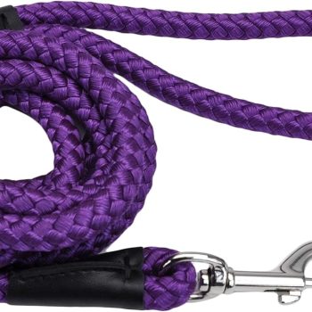 Pet Rope Dog Leash - Tangle-Free Walking - Soft-Braided Nylon - Fade-Resistant Colors with Snap Swivel Hook - Purple, 1/2" x 06'