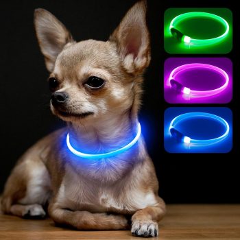 Light Up Dog Collar, High Visibility LED Dog Collar Rechargeable- Rainproof TPU Cuttable Glowing Pet Collar for Small Dogs & Cats - Puppy Safety Lights for Night Walking (XS- Blue 40cm)