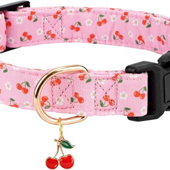 Personalized Dog Collars,Adjustable Puppy Collars with Safety Buckle for Small Medium Large Dogs,Cute and Unique Pink Cherry Pattern Pet Collar for Boy Girl Dogs. (Pink Cherry, Medium)