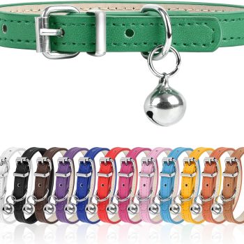 XXS Dog Collar for Teacup Adjustable Teacup Dog Collar for Small Medium Large Dogs 3/8 inch Width (Green, XXS)