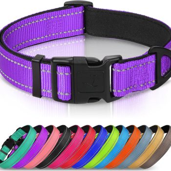 Reflective Dog Collar,Soft Neoprene Padded Breathable Nylon Pet Collar Adjustable for Medium Dogs,Purple,M
