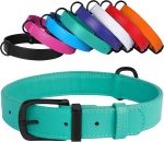 Leather Dog Collar 12 Colors Soft Padded Pet Collars Small Medium Large Puppy Green Black Pink White Red Blue Purple (Mint Green, Size M Neck Fit 12"-14")