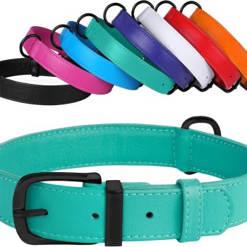 Leather Dog Collar 12 Colors Soft Padded Pet Collars Small Medium Large Puppy Green Black Pink White Red Blue Purple (Mint Green, Size M Neck Fit 12"-14")