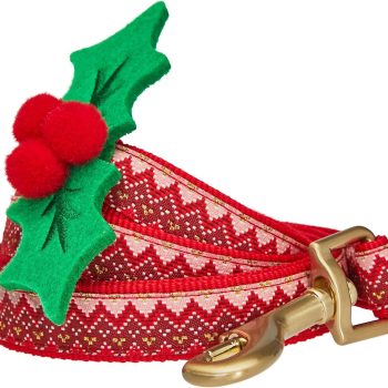 Christmas Zigzag Chevron Dog Leash with Holly Décor, 5 ft x 3/4", Medium, Leashes for Dogs