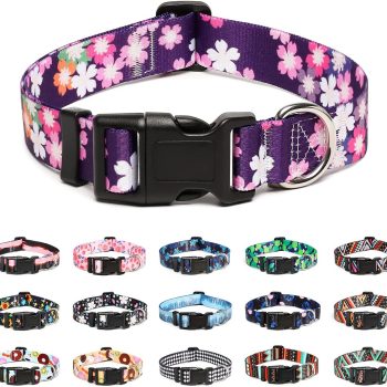 Adjustable Dog Collar - Special Design Patterns, Soft Nylon Comfortable Durable Pet Collar for Small Medium Large Dogs (S, Floral Pink)