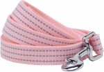 Reflective  Dog Leash, Candy Pink, 4 ft x 1", Large, Leashes for Dogs