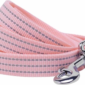 Reflective  Dog Leash, Candy Pink, 4 ft x 1", Large, Leashes for Dogs