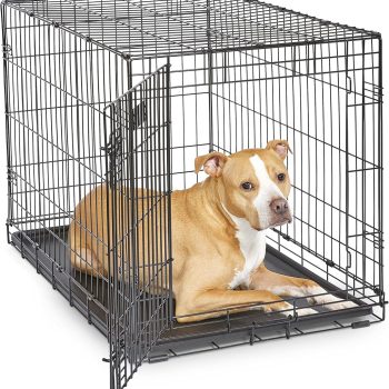36-Inch  for Medium-Large Breeds, 41-70 lbs, Single Door Folding Dog Crate with Divider Panel, Leak-Proof Tray & Secure Latches, Portable, Durable & Easy to Assemble